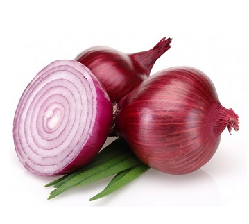 Onion Purple - Galaxy Expo Company